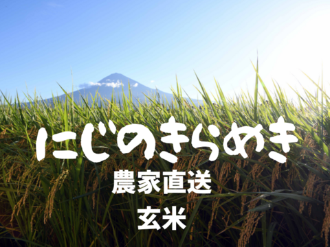 令和7年産 にじのきらめき 静岡産 玄米 10kg ふっくら炊き上がり 甘みと香りが際立つ 富士の恵みのお米