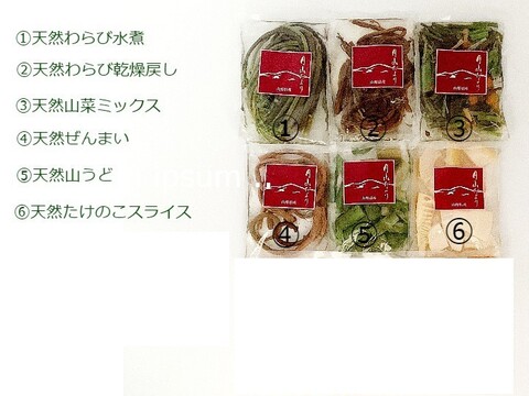 【国産山菜水煮】セット内から３品お選び下さい