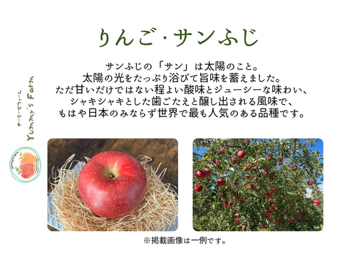 生産農家直送 りんご サンふじ 訳あり 家庭用 10kg 長野県産 信州りんご発祥の地 化学肥料不使用 除草剤不使用 人にやさしく環境にもやさしい