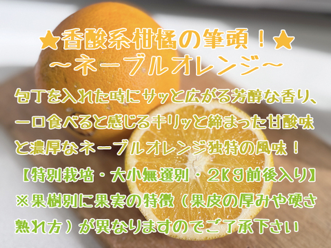 ◆販売準備中【晴れの国・岡山産】独特の香りとキレの良いすっきり甘酸味！特別栽培ネーブルオレンジ～２Kg前後入り～三か所ある栽培場所で収穫した果実をミックス【大小無選別・風味食べ比べ】