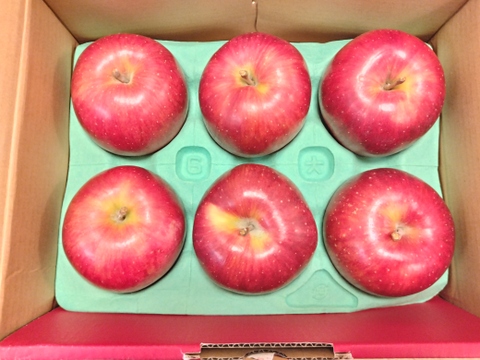 【シナノスイート】（2kg・6～9個入り）シャリ甘・ジューシーお得な家庭用