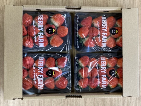 香り豊か！有機いちご「あまおとめ」1kg