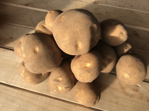 完熟‼️小さなナガイモ…
完熟‼️じゃがいも(とうや)…
各4.5kg    旨っ❗️北海道の貯蔵野菜は今が旬‼️2箱同梱送料節約
