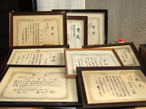 土佐小夏（高糖度種有り系）とセミノールのセット（ご家庭用）10kg 化学系農薬を使わない栽培
