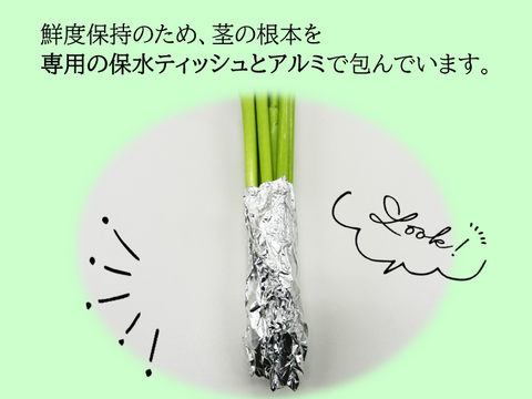 【まもなく終了】出荷量日本一！新潟県産チューリップ切り花　黄色系10本 　※北海道・沖縄県配送不可※