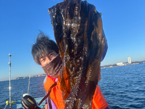 ~朝採れ新鮮~【生わかめ】寒い日はしゃぶしゃぶで！！(1kg/7~8人前程度)