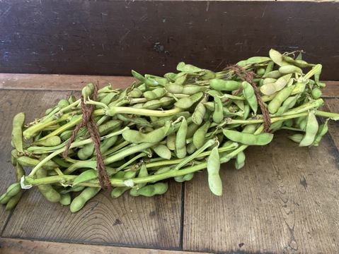 お酒に合う！農家がこっそり食べる出回らない熟成黒枝豆 枝付き1.5kg