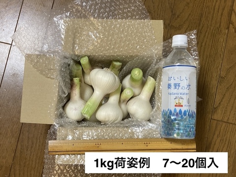 新鮮！【新ニンニク】1kg；農薬、化学肥料不使用