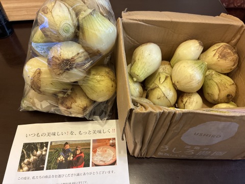 【小玉】淡路島 新玉ねぎ！使い切りサイズ！3kg【ひょうご安心ブランド認証】特別栽培