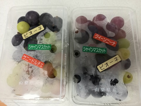 完熟・粒々粒セット・シャインも入って園主にお任せ3種類の旬の味わい（600ｇパックが２つ）