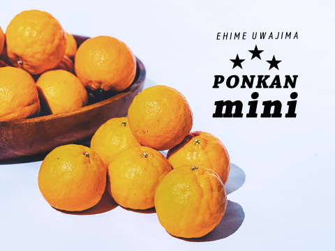 Mini ☆豊作記念セール☆【小玉（Sサイズ）で濃厚】熟成　今津ポンカン9kg