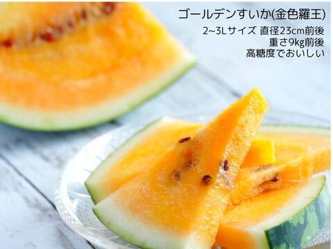 新種すいか 高糖度の尾花沢ゴールデンすいか(金色羅王) 2~3Ｌサイズ1玉 限定3玉