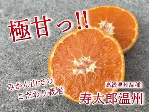 【訳あり3kg】濃甘っ！黄金熟成で晩生みかんの甘さや旨さを最大限に！食べるみかんジュース！まさにトップ・オブ・ザ・みかん！超熟みかん「熟太郎（じゅくたろう）」訳あり　サイズ混合　３kg【819-3k】
