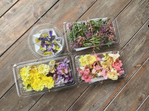 エディブルフラワー 4種セット　※農薬不使用栽培