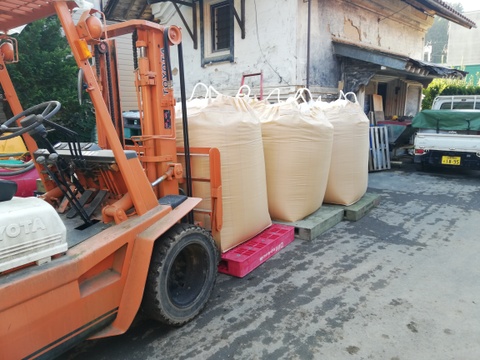 令和7年産　白米5㎏　　　新米予約　品種「つきあかり」