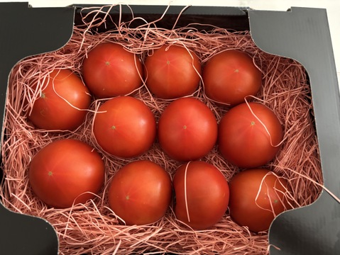 ～春夏秋冬～夏のトマトを楽しみましょう！ぜいたくトマト《夏の陣》