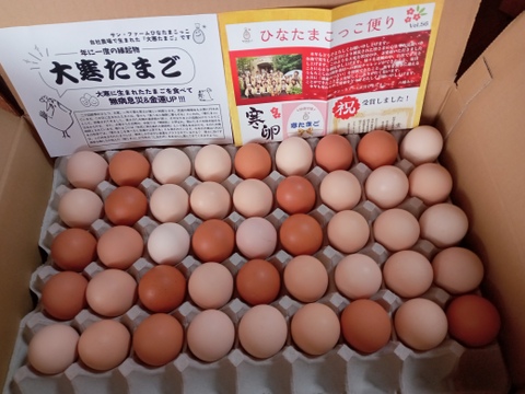 無病息災＆金運UP！！大寒たまごＭさくら45個【常温便】（破損補償10個含む）