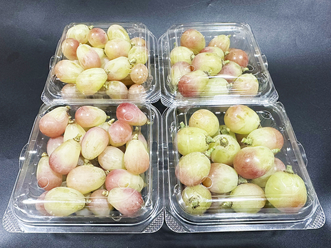 さっぱり甘い！岡山県産種なしサニードルチェ 約250gｘ4パック（約1kg、4パック）