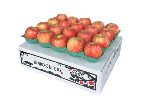 食べ応え抜群 シナノドルチェ 5キロ箱　11玉〜28玉サイズ 商品ID298082 長野県 信州 安曇野 リンゴ 幻 幻のリンゴ 予約 希少 旬