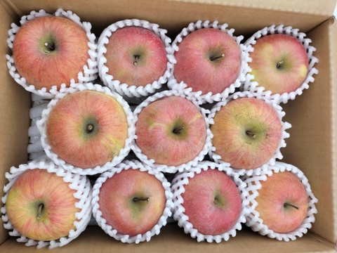 豊作還元セール！！家庭用サンふじ　約3kg