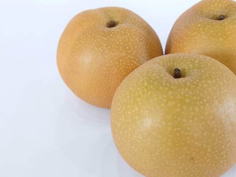 濃厚な美味しさ！果汁溢れる豊水梨  約3kg
