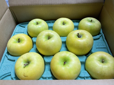 甘党集合❗️希少品種青森県産「🍏スイートメロディ🍏」9〜11玉