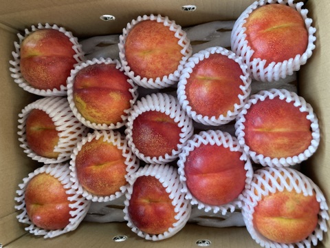 先行予約❗️ネクもも🍑スイートビーナス🍑3キロ箱　訳あり家庭用