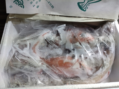 【魚ガチャ】初心者必見！何が入っているかわからない［未利用魚］おかず