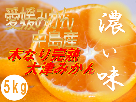 濃厚完熟　大津みかん　ご家庭用・5ｋｇ