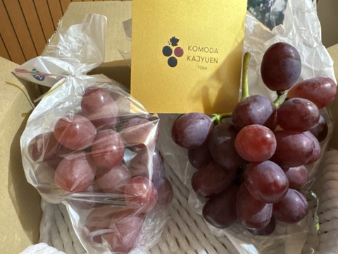 女王のルビーの輝き、甘く芳醇な香り！クイーンルージュ 約800g（2～4房）長野県認証/特別栽培同基準（信州の環境にやさしい農産物認証50）