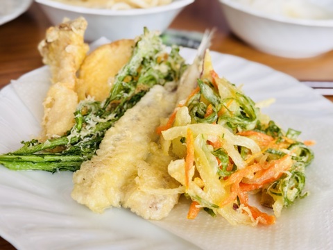 簡単調理・深海メギスの開き加工1PC/15枚