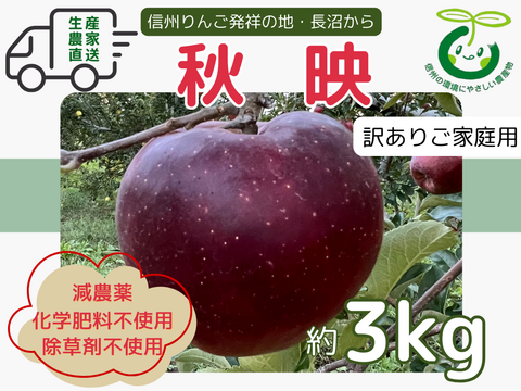 生産農家直送 りんご 秋映 訳あり 家庭用 3kg 長野県産 信州りんご発祥の地 長沼りんご 産地直送 除草剤不使用 人にやさしく環境にもやさしい農産物