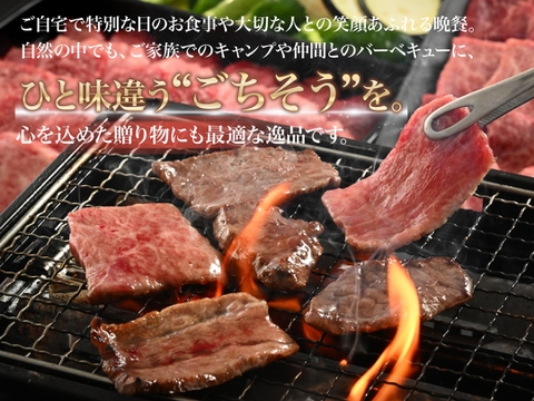 【牧場オーナー厳選】極旨 若狭牛食べ比べ 霜降りと赤身の贅沢極み焼肉盛り合わせ 600g （2-3人前）