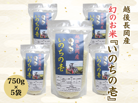 【幻のお米！】いのちの壱　特別栽培米　750g×５袋