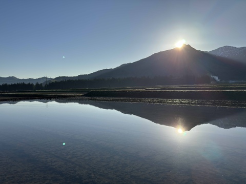 【令和7年産新米】【希少米】南魚沼塩沢産コシヒカリ＜yusui＞5kg（精米）