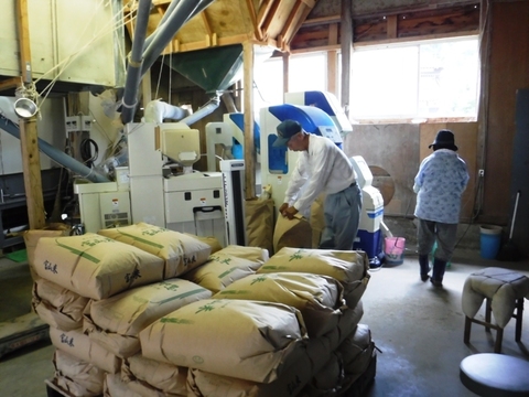 20％値引き・天皇献上米コシヒカリ（特別栽培米）令和３年産玄米９㎏