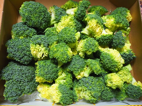 時短！お得！カットブロッコリー １キロ 高知県産