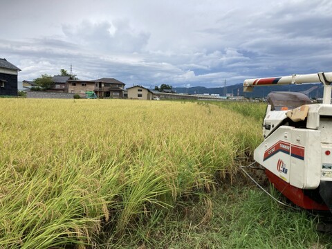 ギフト用！容器付き！食味92点!　令和7年福井産コシヒカリ3㎏（精米）