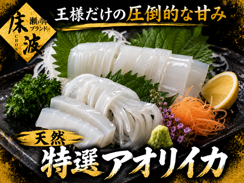 【王の刺身を心ゆくまで】長州床波ブランド一押し天然国産『特選アオリイカ』至高の晩酌を何度でも楽しむ大容量お刺身用約400g