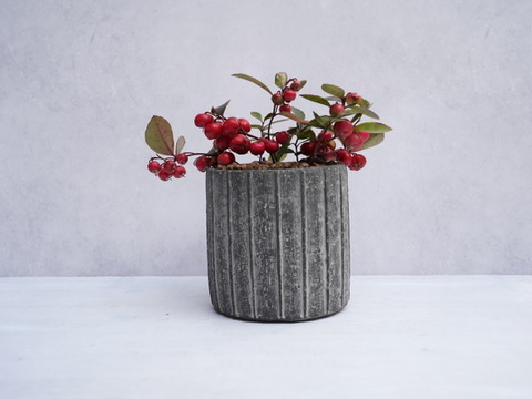 ミニ盆栽【チェッカーベリー × 黒縞陶器】高さ約17cm×横約15cm【夜市限定】