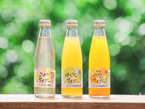 【アウトレット特別価格 30％OFF】和歌山フルーツサイダー(うめ)　8本セット　ギフト箱　n14013-8g
