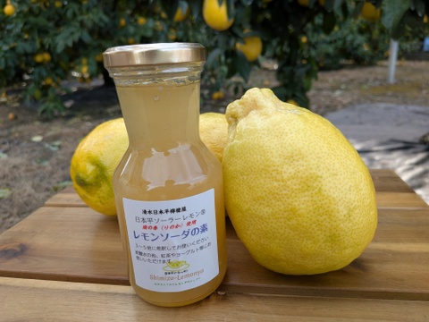 日本平ソーラーレモン®璃の香とレモンソーダの素セット『静岡県産』