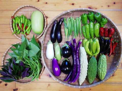 農薬化学肥料不使用】おまかせ野菜セット【8種類以上の野菜】【金曜日