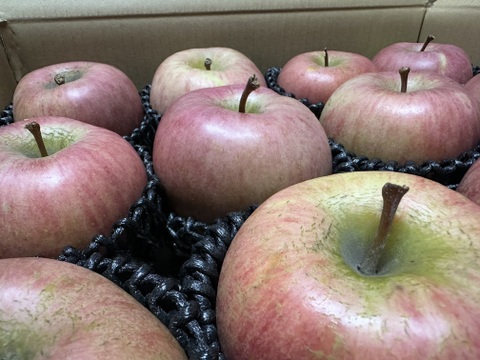 スーパーヘビー級りんご「美丘」約5k箱 「青林」約3kg箱　同梱！