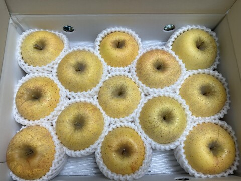 【りんご】幸せの黄色いりんご「はるか3ｋｇ」（フリーサイズ）