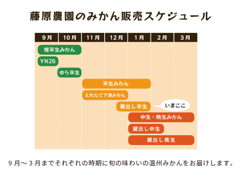 蔵出しみかん早生5kg｜和歌山県海南市下津町の特産品、蔵出しみかんの希少な早生品種
