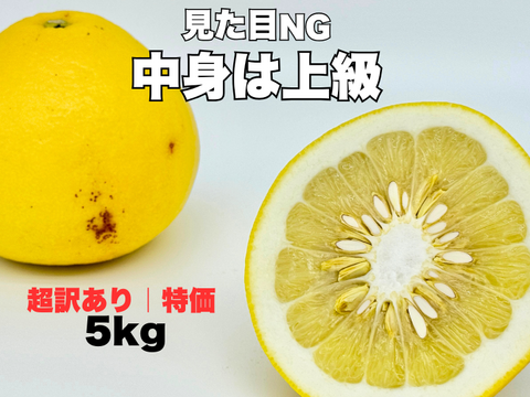土佐文旦 超訳あり｜見た目NGでも中身同じ 今が食べ頃 60日仕上げ 5kg お試し
