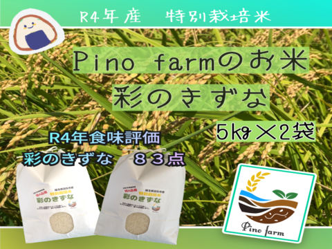 R4年産　Pino farmのお米　特別栽培米彩のきずな　【5㎏×2袋】