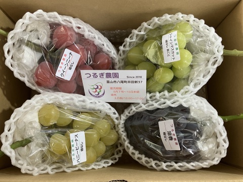 金賞受賞！クイーンニーナと品種おまかせセット2kg