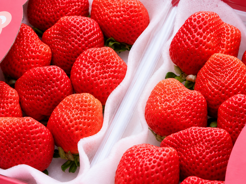 予約販売 2026年11月下旬～順次発送】🍓あまおう苺 サイズ色々❤️約